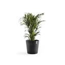 5411942740650_02 Amsterdam 50 Dark Grey.webp