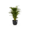 5413724316763_02 Oslo 35 Dark Grey.webp