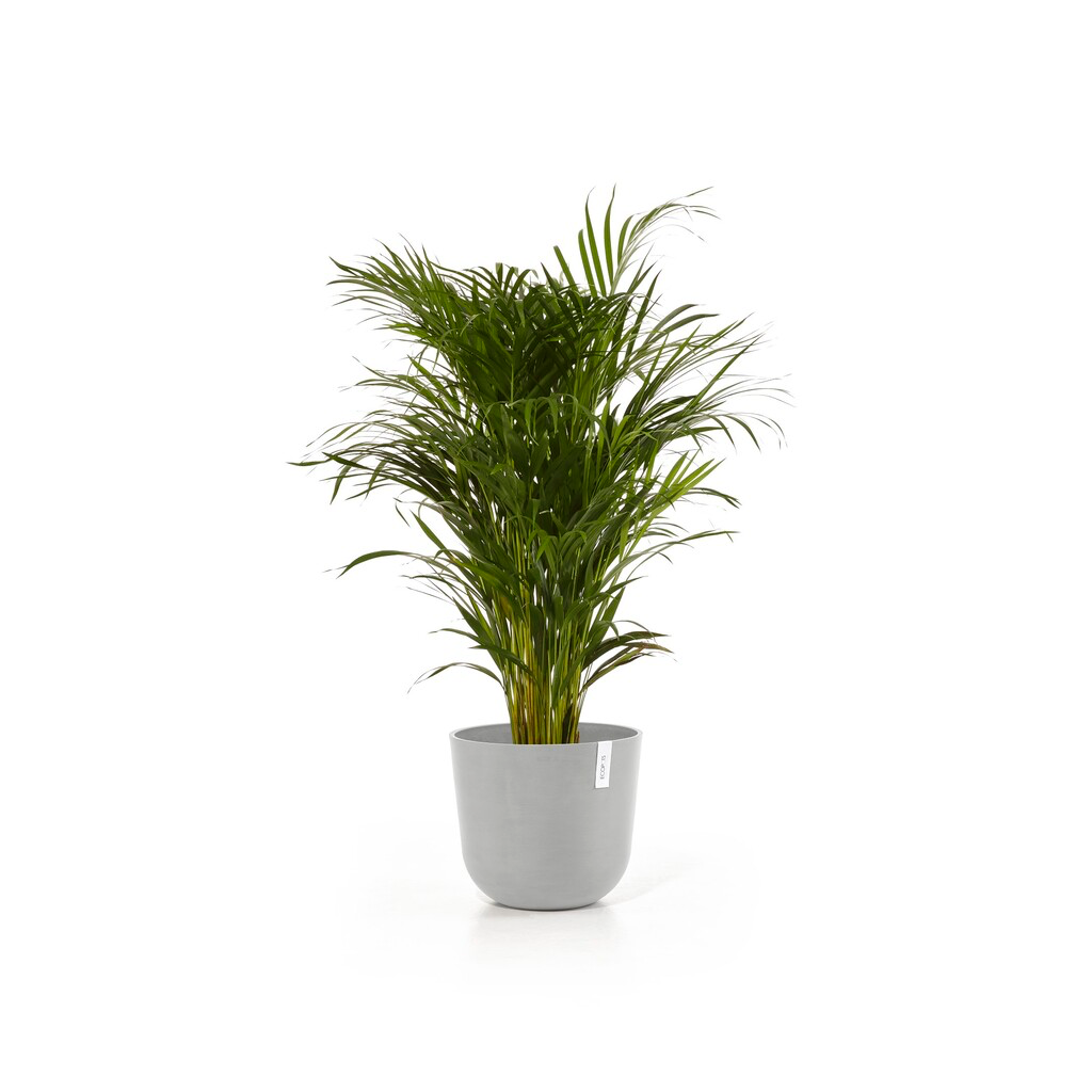 5413724316923_02 Oslo 35 White Grey.webp