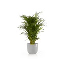 5413724316923_02 Oslo 35 White Grey.webp
