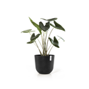 5413724316770_03 Oslo 45 Dark Grey.webp