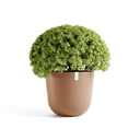 5413724332343_01 Oslo 65 Terra.webp
