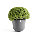 5413724332282_01 Oslo 65 Grey.webp