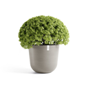 5413724332329_01 Oslo 65 Taupe.webp