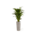 5413724316343_01 Amsterdam High 76 Taupe.webp