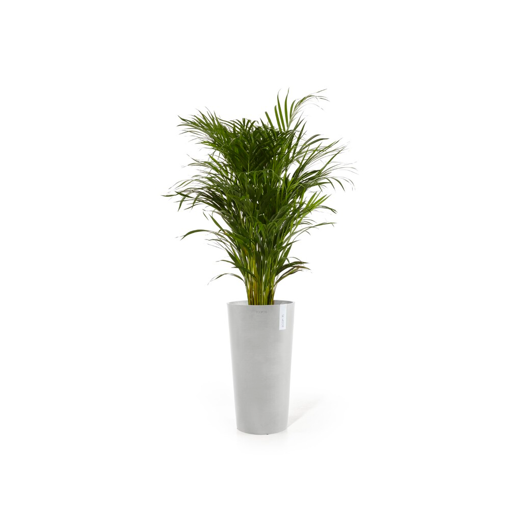 5413724316367_01 Amsterdam High 76 White Grey-2.webp