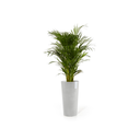 5413724316367_01 Amsterdam High 76 White Grey-2.webp