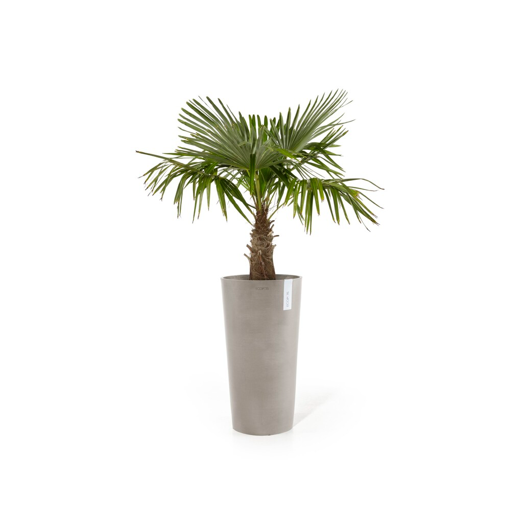 5413724325406_02 Amsterdam High 90 Taupe.webp