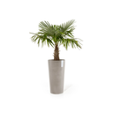 5413724325406_02 Amsterdam High 90 Taupe.webp