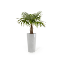 5413724325420_02 Amsterdam High 90 White Grey.webp