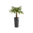5413724325383_02 Amsterdam High 90 Dark Grey-2.webp