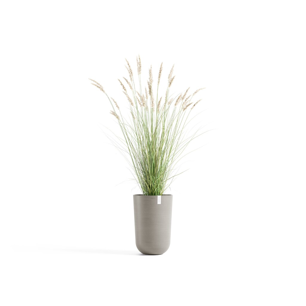 5413724332701_01 Oslo High 52 Taupe.webp
