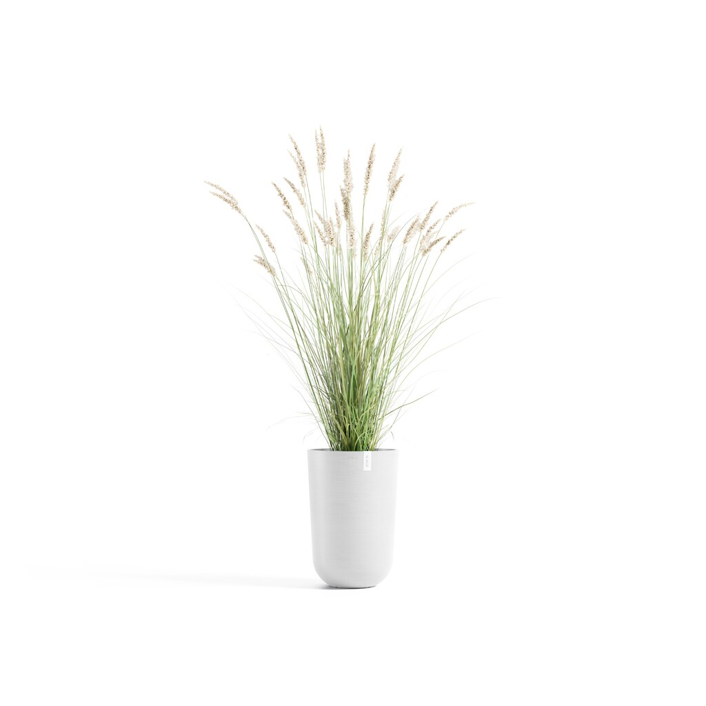 5413724332664_01 Oslo High 52 Pure White.webp