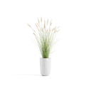 5413724332664_01 Oslo High 52 Pure White.webp