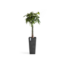 5411942747611_03 Rotterdam High 70 Dark Grey.webp