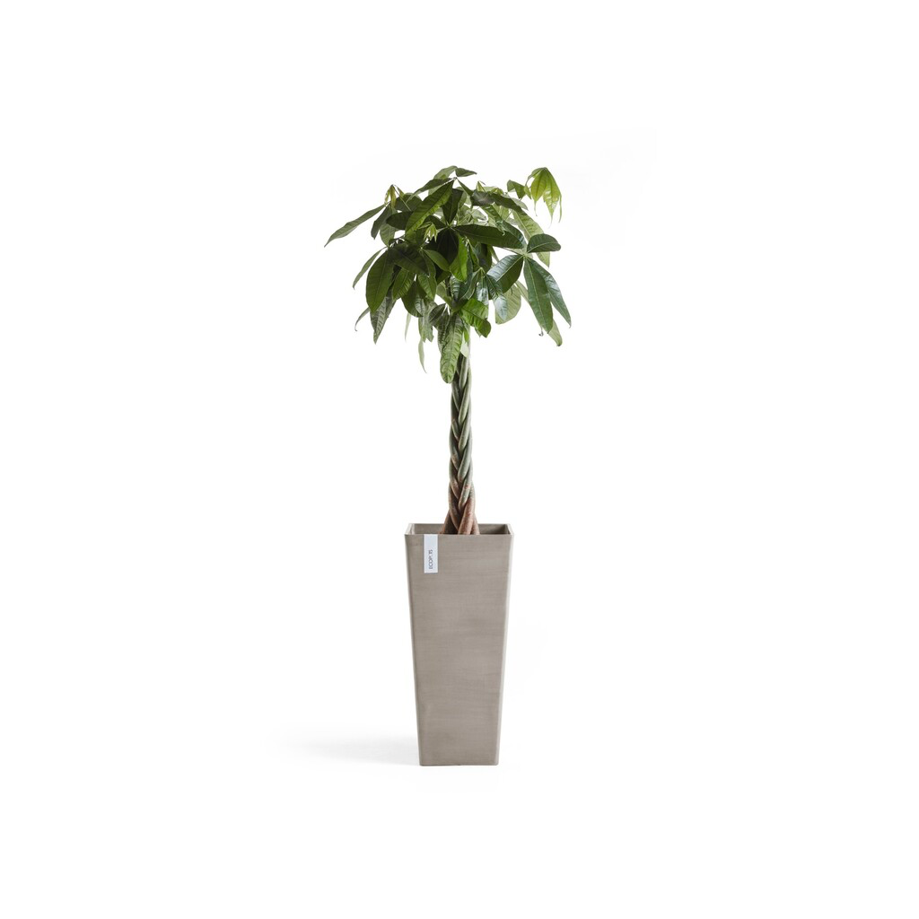 5411942748724_03 Rotterdam High 70 Taupe.webp