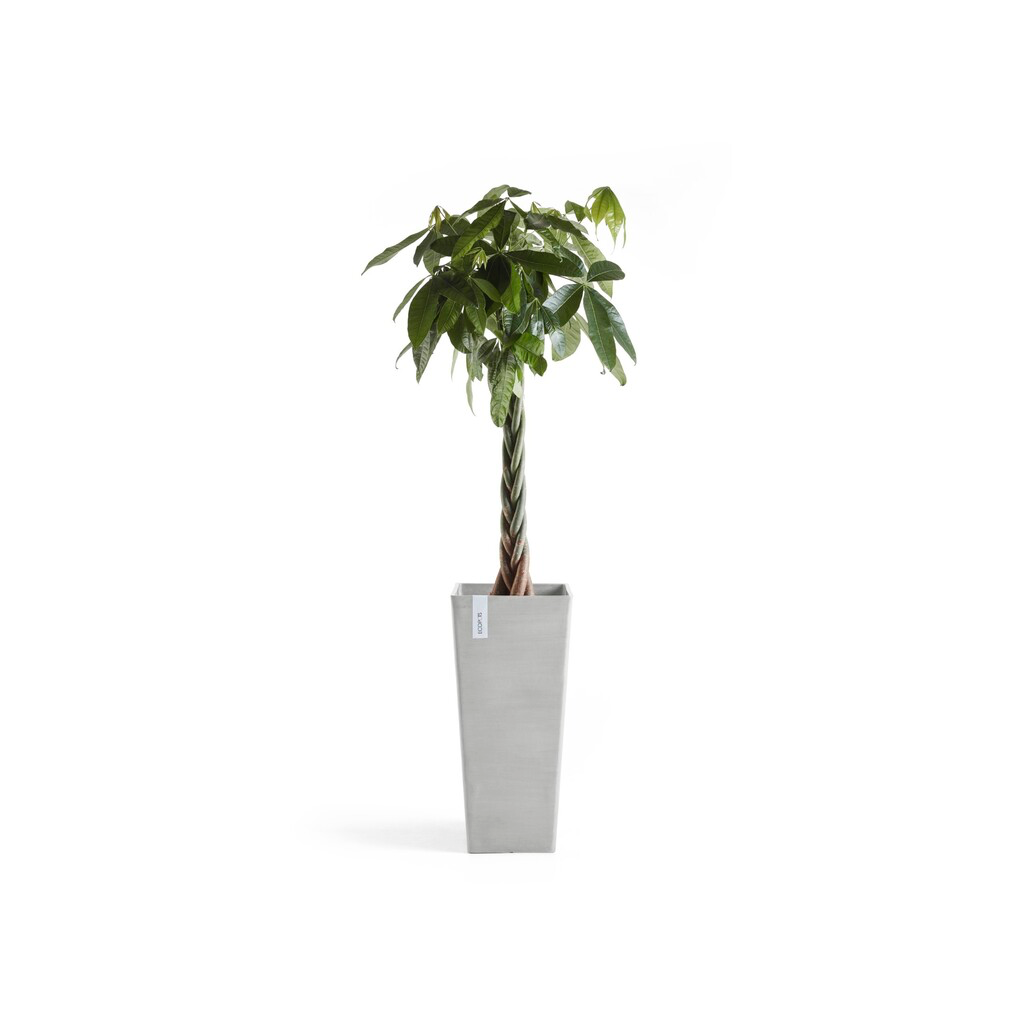 5413724303411_03 Rotterdam High 70 White Grey.webp