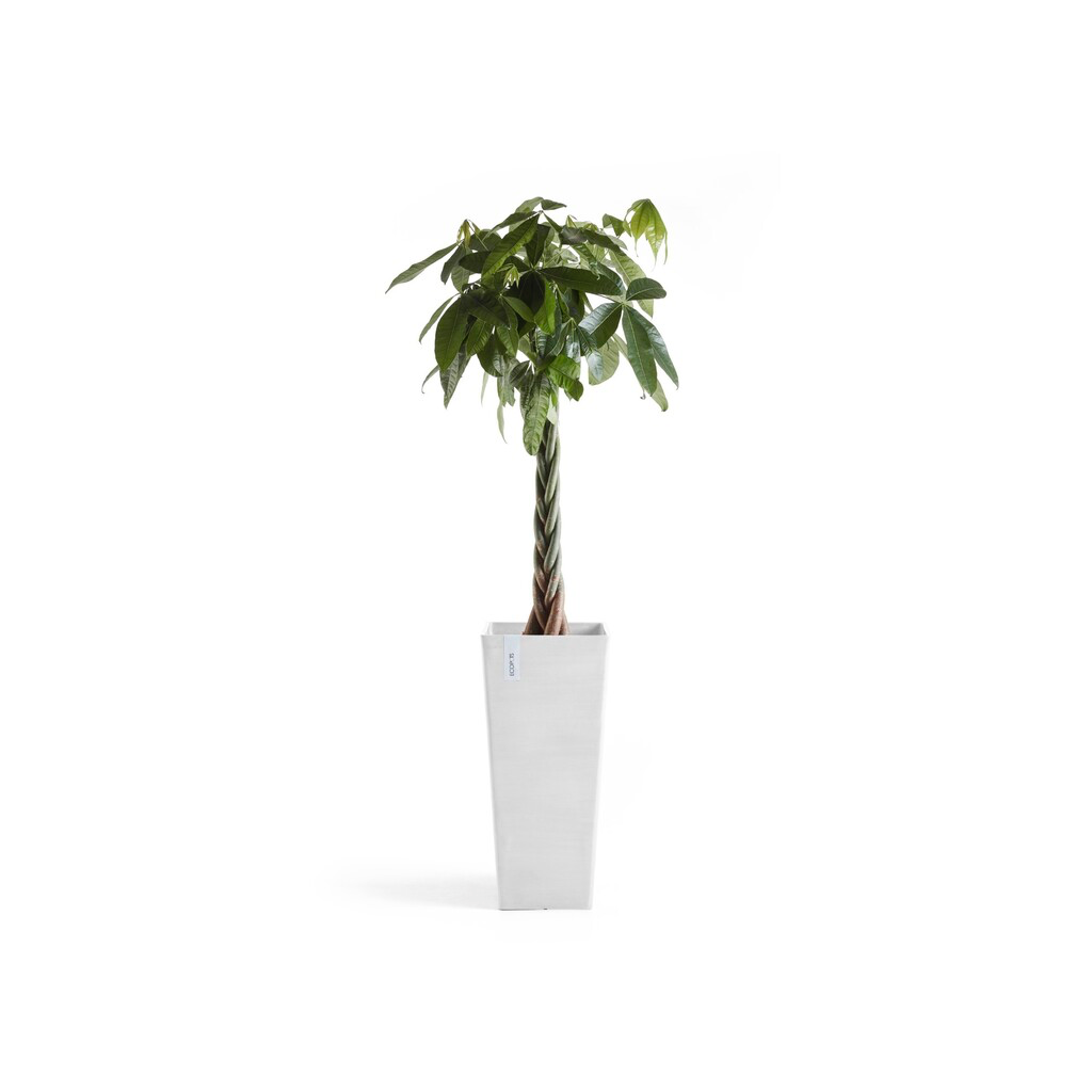 5413724332817_03 Rotterdam High 70 Pure White.webp