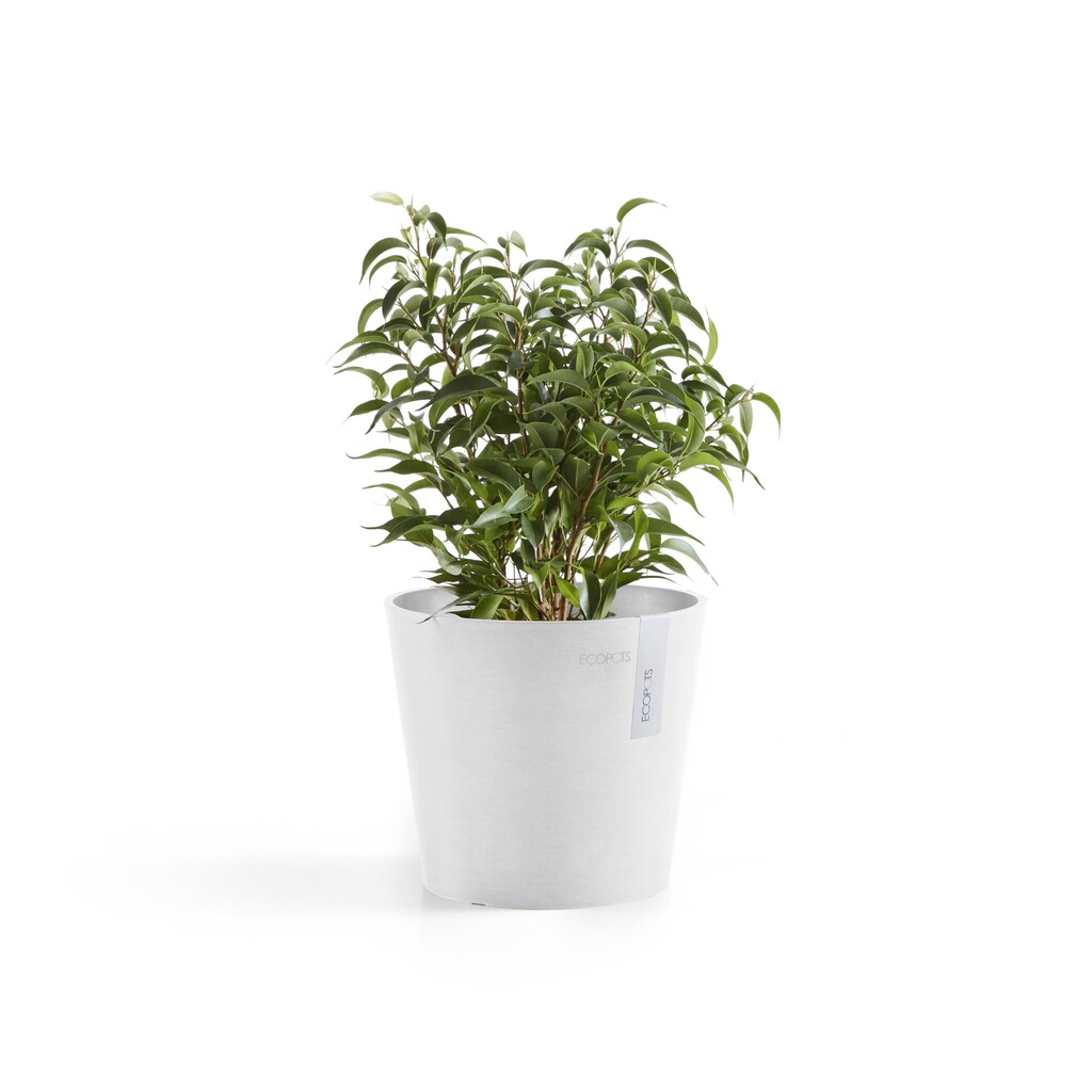 5413724325314_01 Amsterdam 17 Pure White.webp