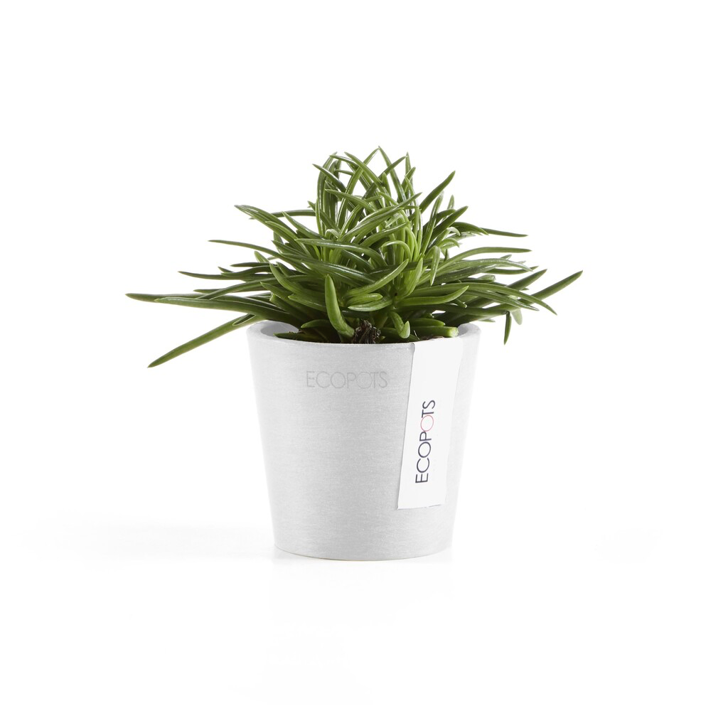 5413724325284_01 Amsterdam 8 Pure White-2.webp