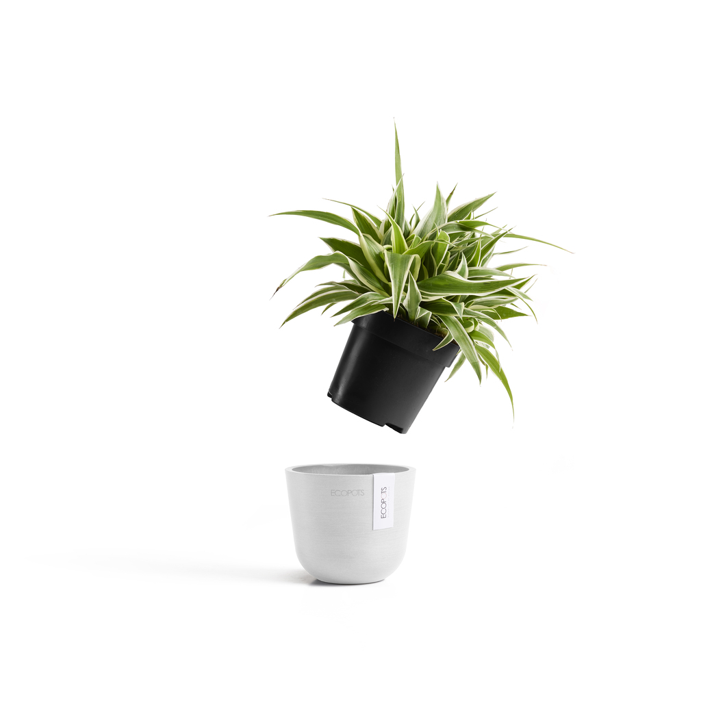 5413724325444_50 Oslo 11,5 Pure White.webp