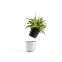 5413724325444_50 Oslo 11,5 Pure White.webp