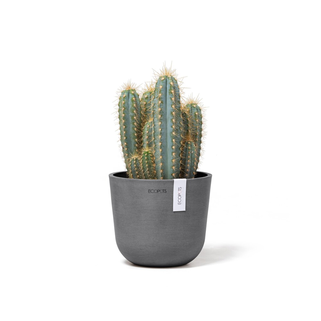 5413724325512_02 Oslo 16 Grey.webp
