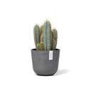 5413724325512_02 Oslo 16 Grey.webp