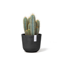 5413724325482_02 Oslo 16 Dark Grey.webp