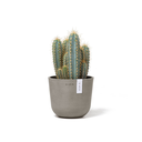 5413724325543_02 Oslo 16 Taupe.webp