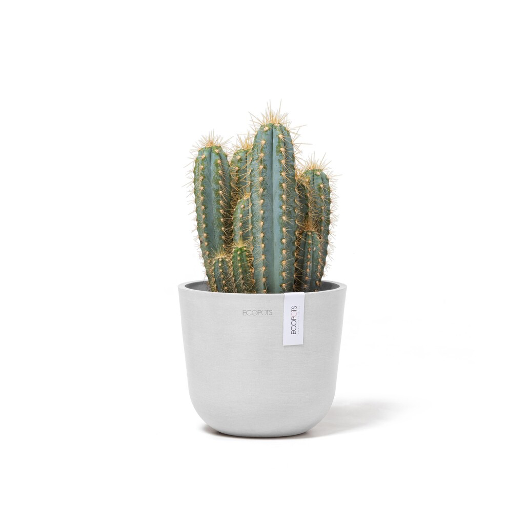 5413724325451_02 Oslo 16 Pure White.webp