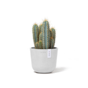 5413724325451_02 Oslo 16 Pure White.webp