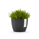 STH.16.DG-SP-Productshot_03-Ecopots_plant.webp