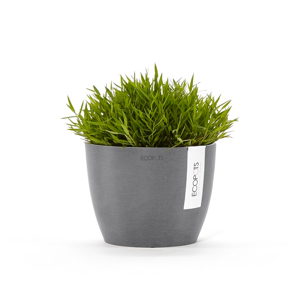 STH.16.GR-SP-Productshot_03-Ecopots_plant.webp