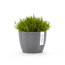 STH.16.GR-SP-Productshot_03-Ecopots_plant.webp