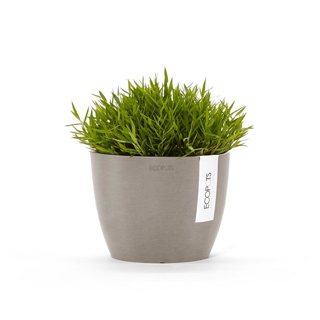 STH.16.TA-SP-Productshot_03-Ecopots_plant.webp