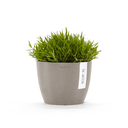 STH.16.TA-SP-Productshot_03-Ecopots_plant.webp