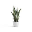 5413724332183_01 Stockholm 24 Pure White.webp