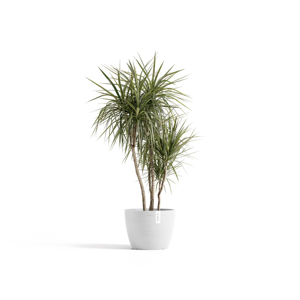 5407011521367_01 Stockholm 40 Pure White.webp