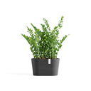 5413724332121_01 Tokyo 30 Dark Grey.webp
