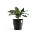 5413724329749_02 Amsterdam 25 Dark Grey.webp