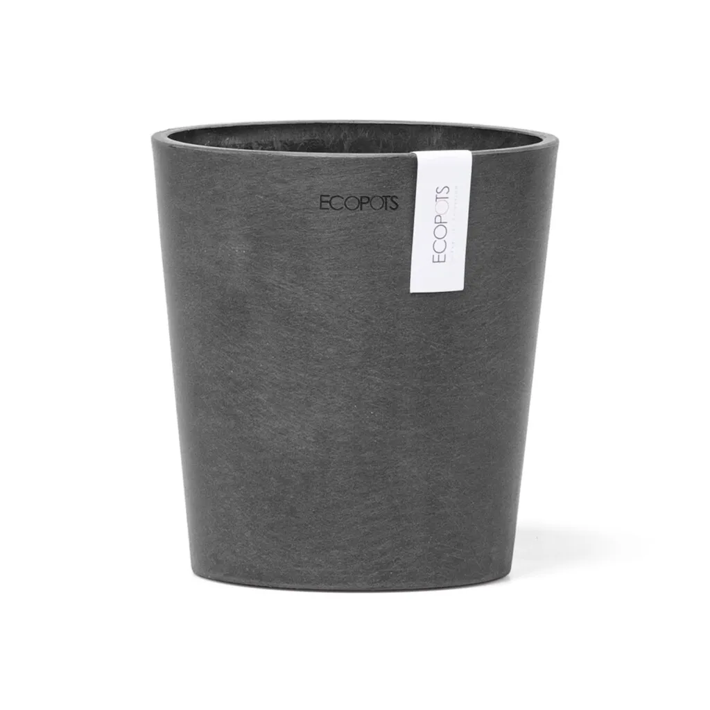 Ecopots Morinda Orchid 14