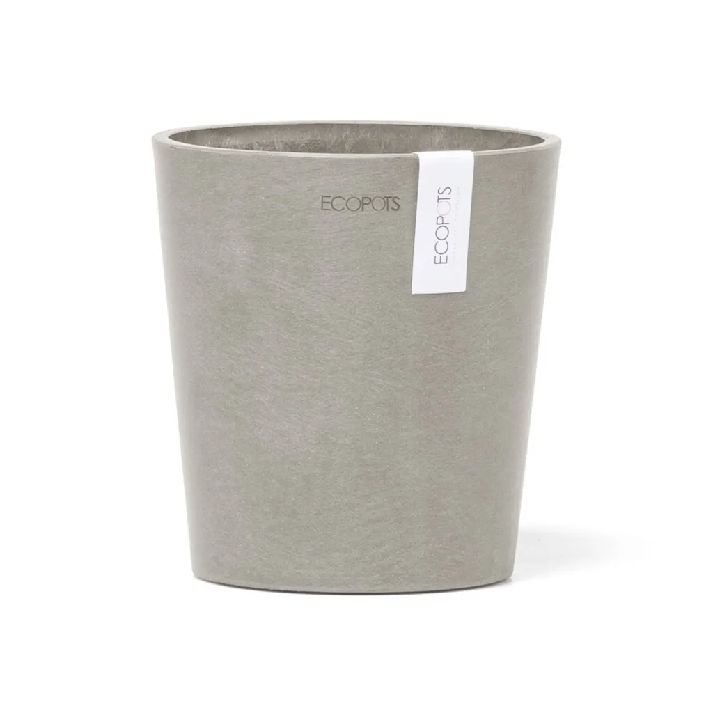 Ecopots Morinda Orchid 14
