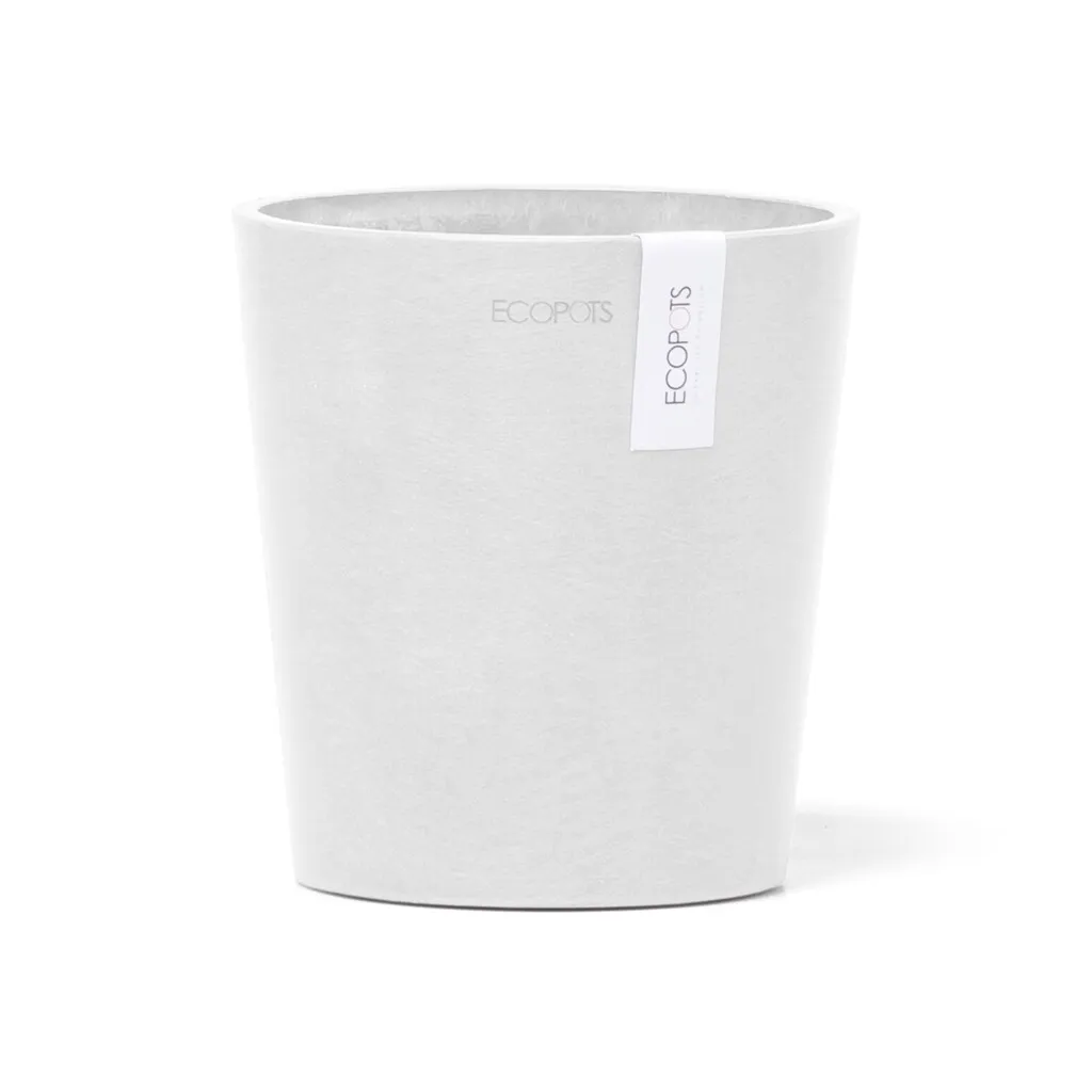 Ecopots Morinda Orchid 14