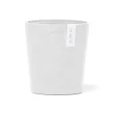 Ecopots Morinda Orchid 14